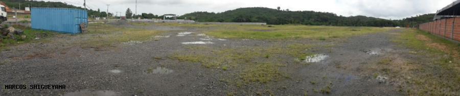 Terreno para alugar, 40000m² - Foto 4