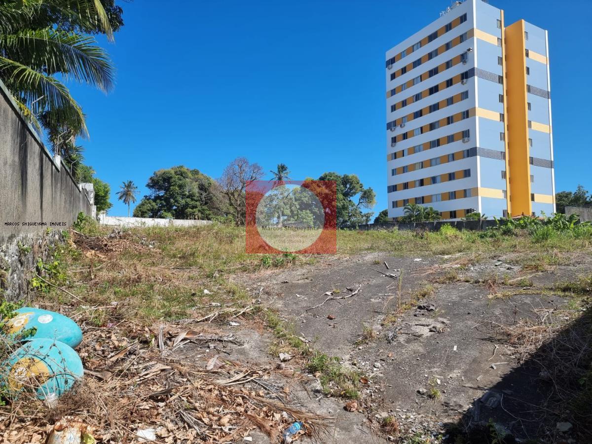 Terreno à venda, 3200m² - Foto 2