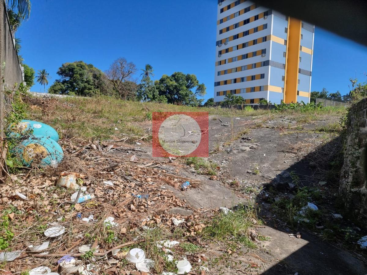 Terreno à venda, 3200m² - Foto 3