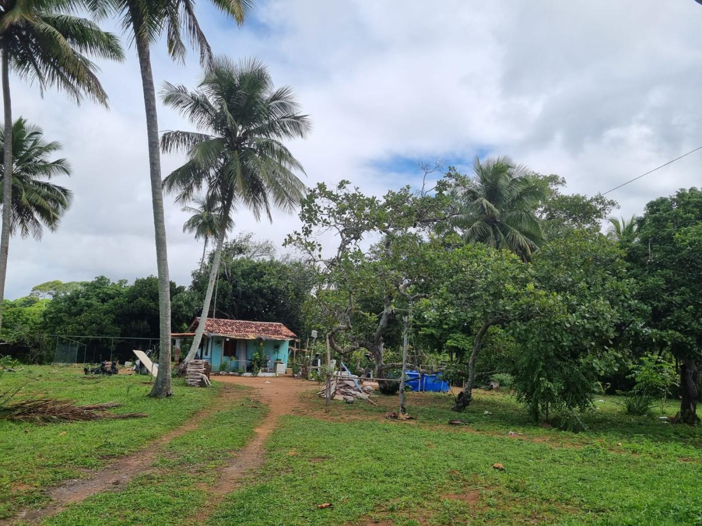 Chácara à venda com 2 quartos, 39784m² - Foto 6