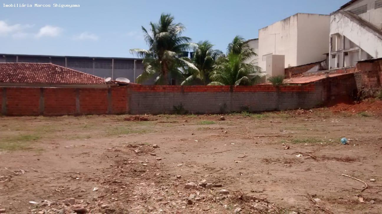 Terreno para alugar com 1 quarto, 2640m² - Foto 4